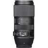 Sigma 100-400mm F5-6.3 DG DN OS HSM CONTEMPORARY