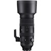 Sigma for Sony 60-600mm f/4.5-6.3 DG OS HSM Sports